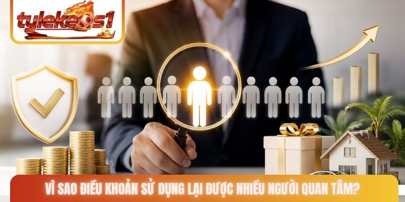 Vì sao điều khoản sử dụng lại được nhiều người quan tâm?