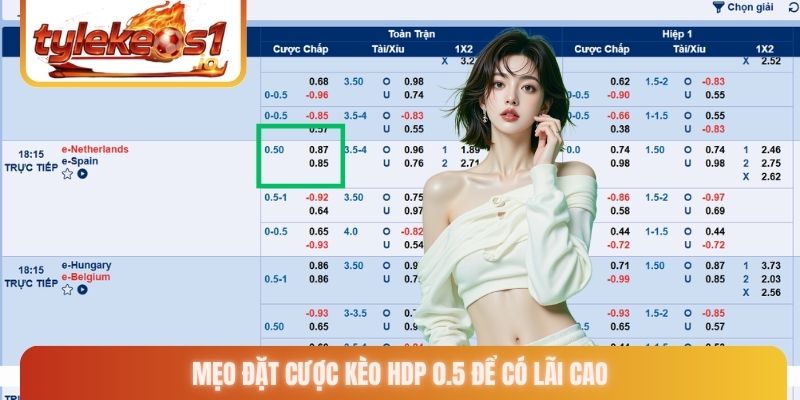 Mẹo đặt cược kèo HDP 0.5 để có lãi cao