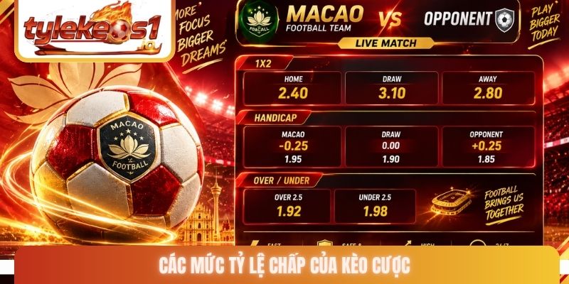 Các mức tỷ lệ chấp của kèo cược