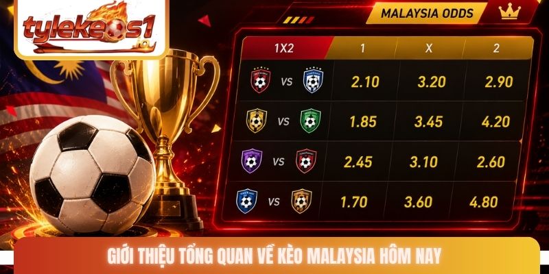 Giới thiệu tổng quan về kèo Malaysia hôm nay