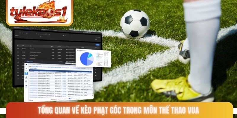 Tổng quan về kèo phạt góc trong môn thể thao vua