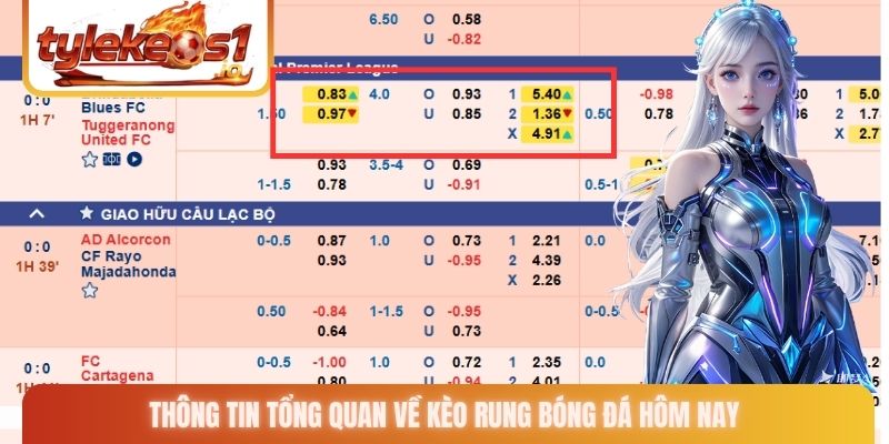 Thông tin tổng quan về kèo rung bóng đá hôm nay