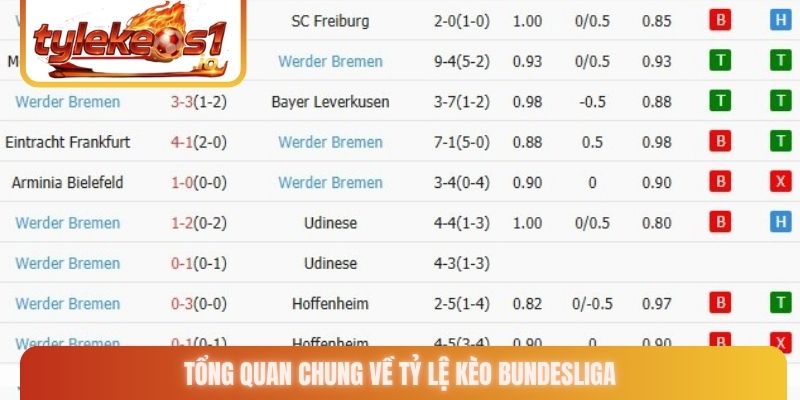 Tổng quan chung về tỷ lệ kèo Bundesliga