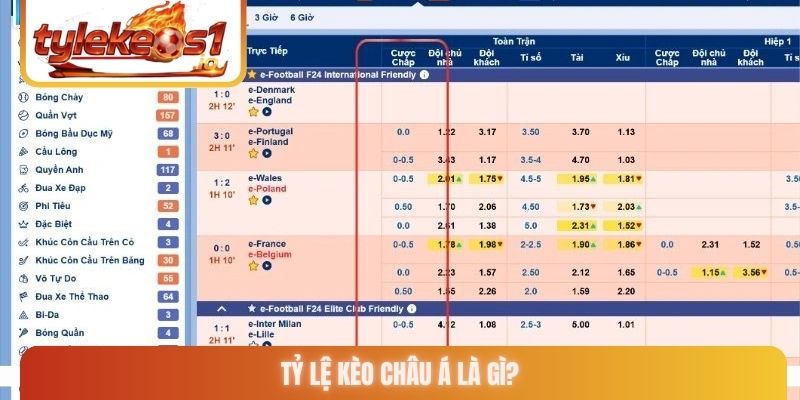 Tỷ lệ kèo châu Á là gì?