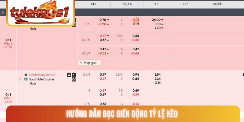 Hướng dẫn đọc biến động tỷ lệ kèo