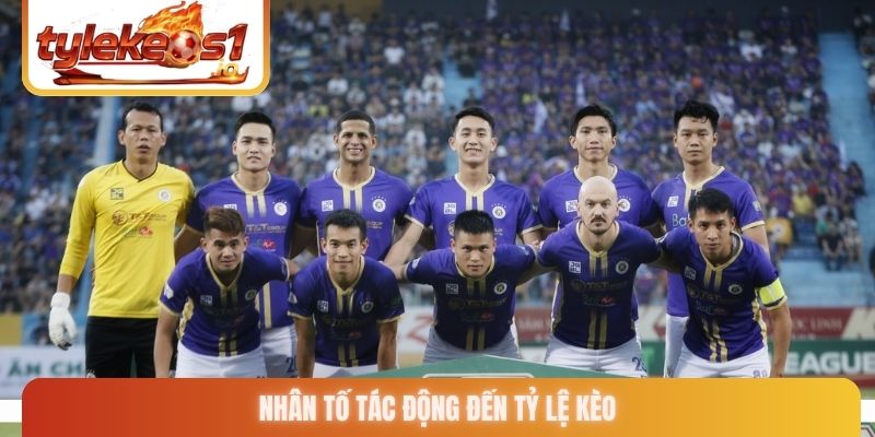 Nhân tố tác động đến tỷ lệ kèo