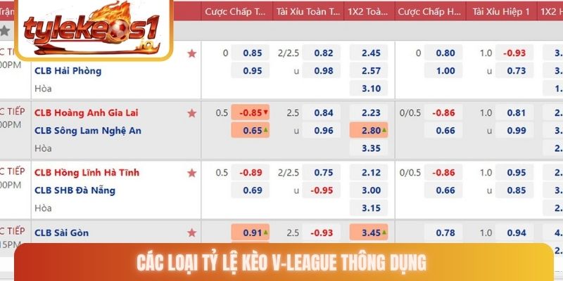 Các loại tỷ lệ kèo V-League thông dụng