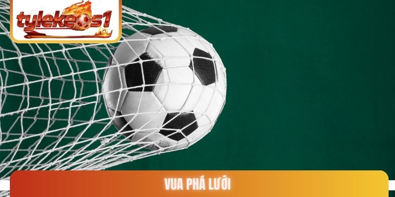 Vua phá lưới